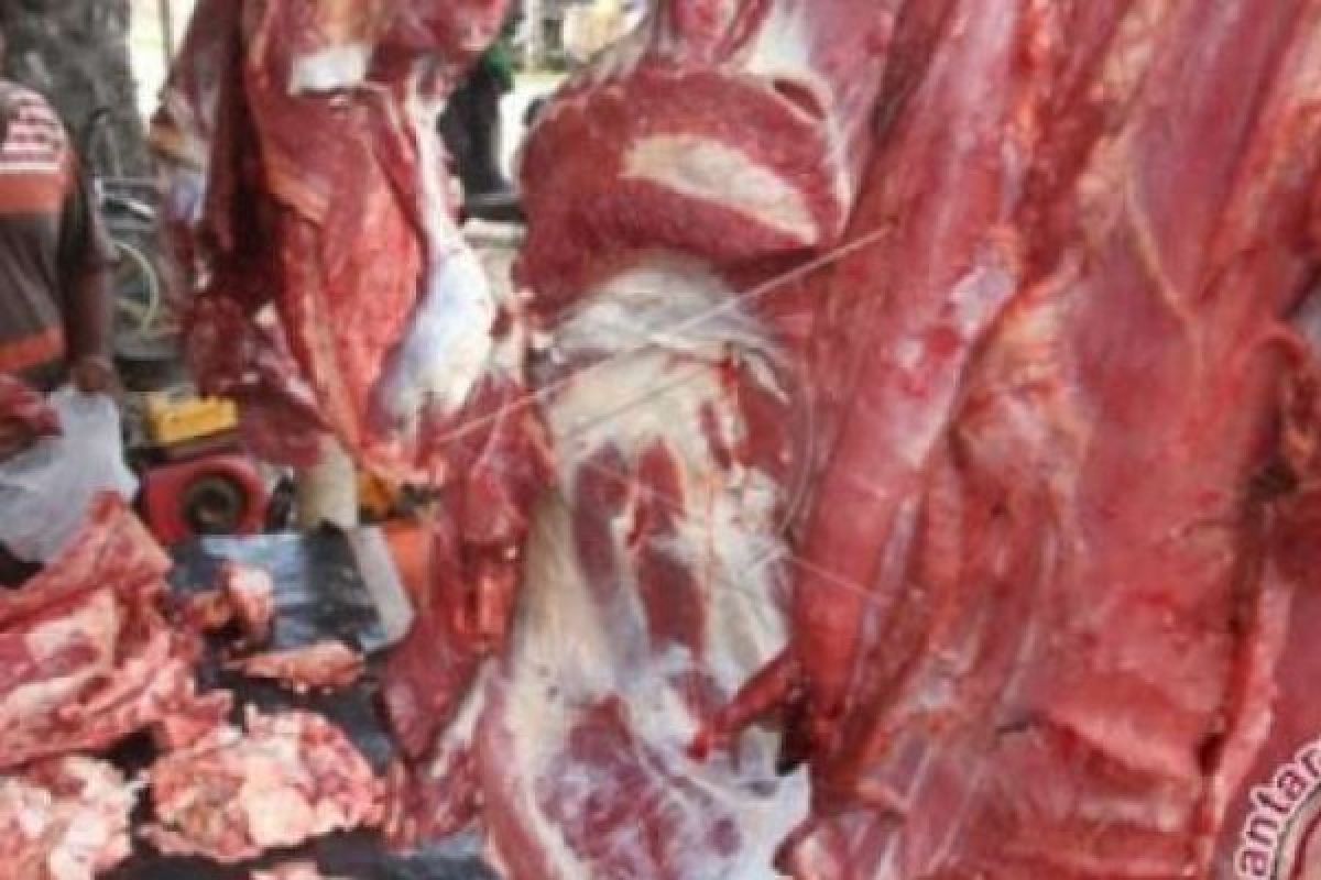 15 Ton Daging Kerbau Beku asal India Tiba di Pekanbaru, Begini Bulog Mendistribusikannya