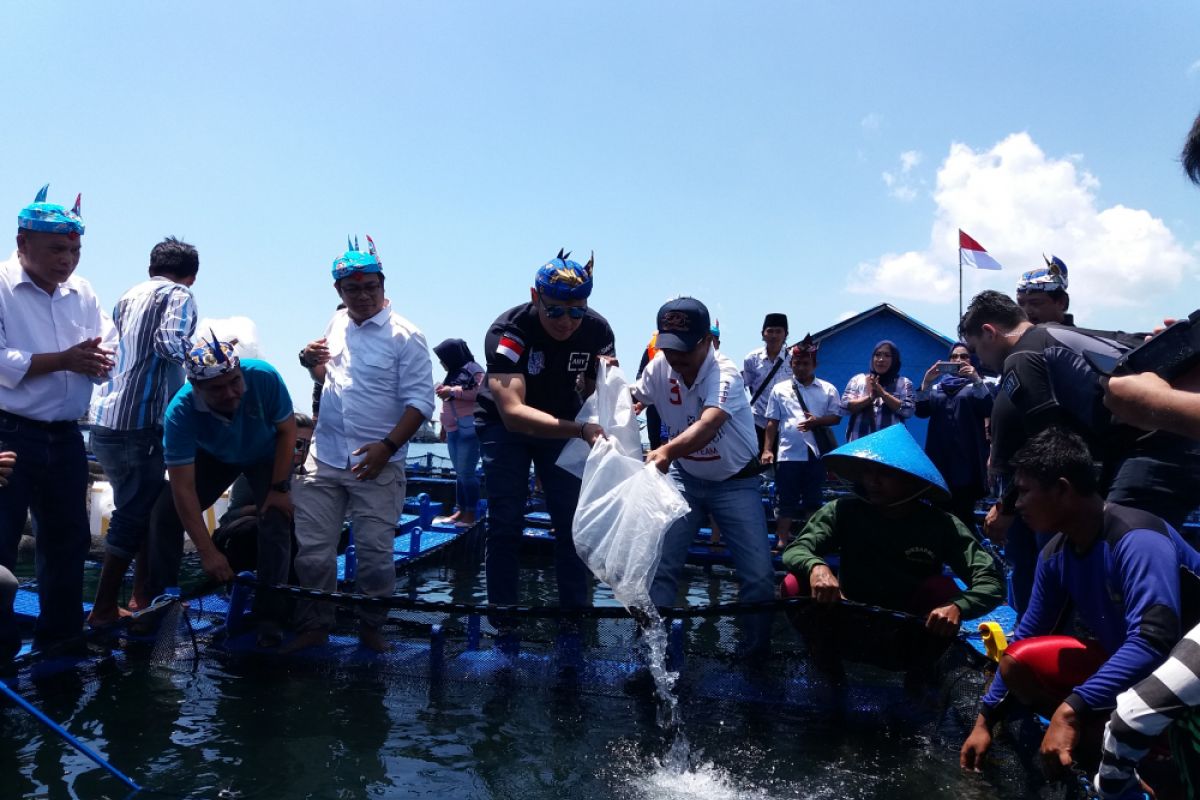 AHY Sambangi Pembudidaya Kerapu Situbondo (Video)