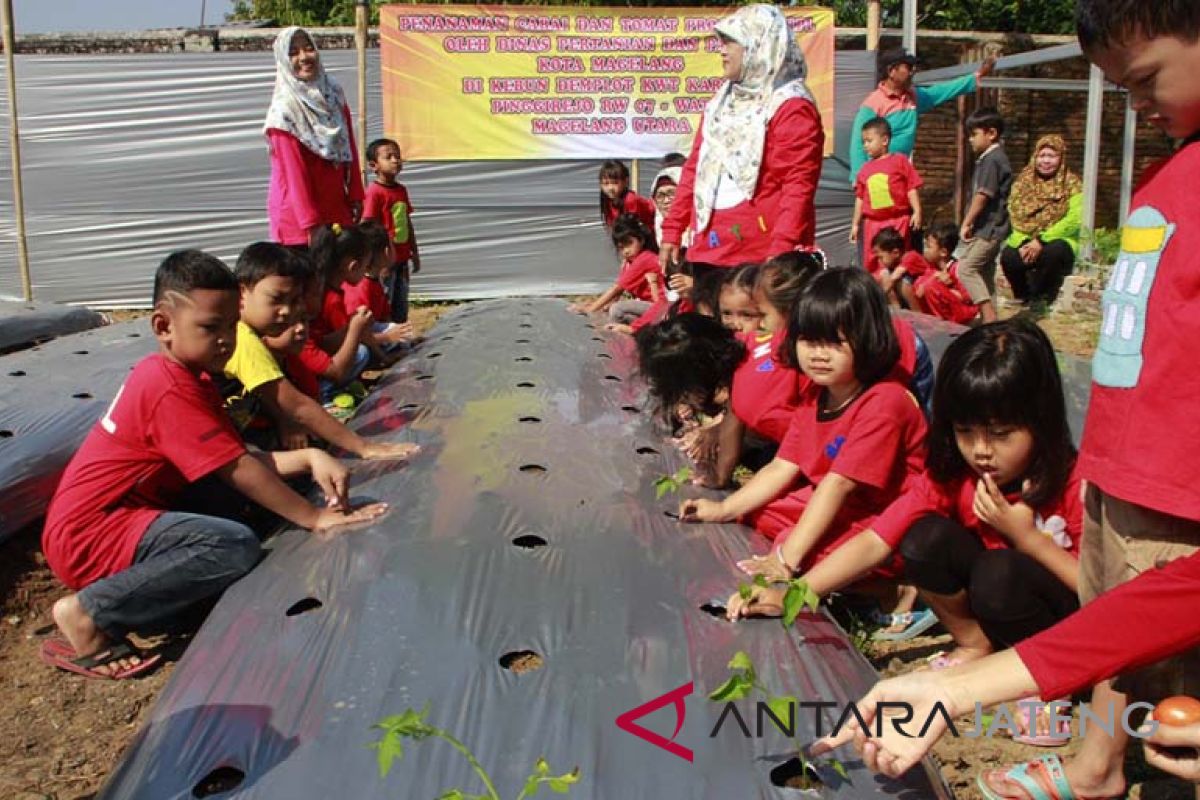 Kelompok tani "Kartini" ajari anak tanam sayuran