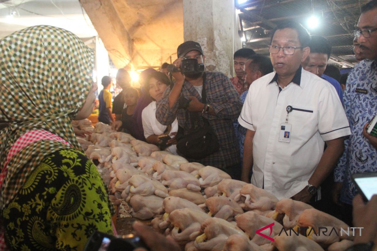 Harga daging ayam di Kupang naik