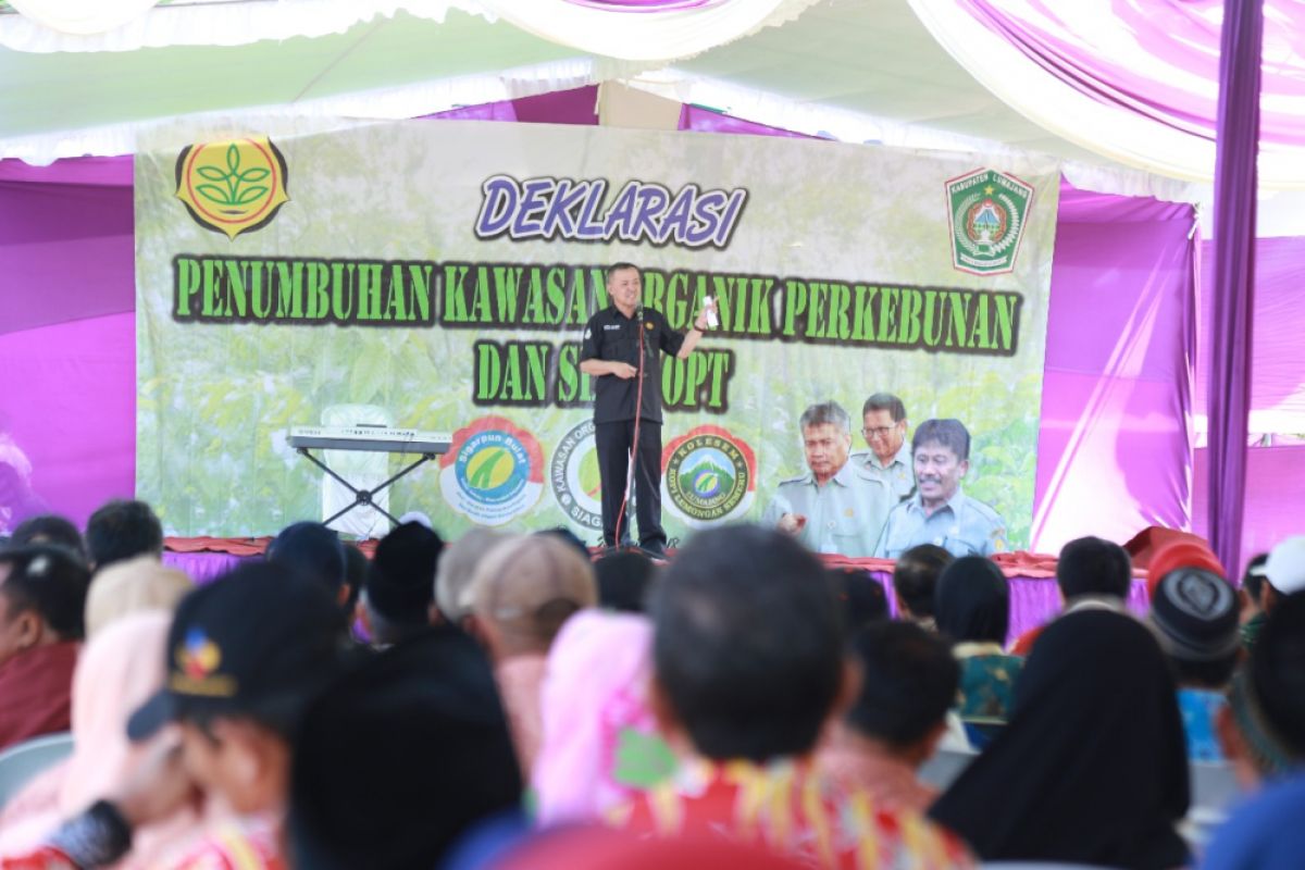 Lumajang Kembangkan Kawasan Organik Perkebunan di Kecamatan Pasrujambe