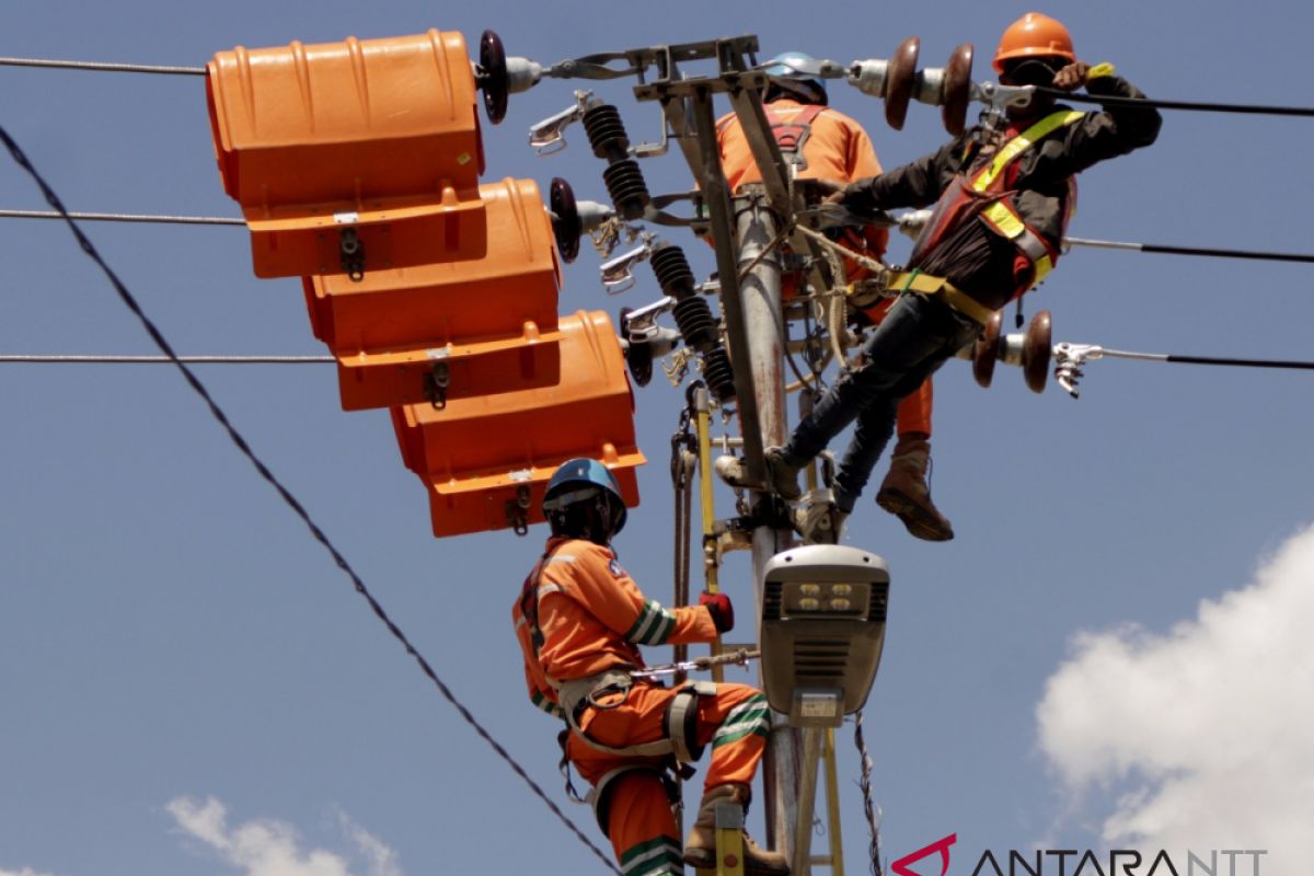 PLN lakukan pemeliharaan jaringan di Kota Kupang