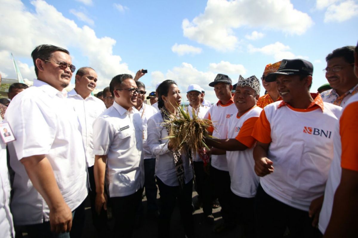 Rini Panen Raya Program "Serap Gabah Petani"