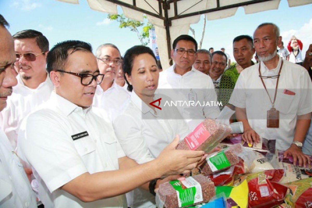 Di Banyuwangi Menteri BUMN Borong Beras Merah Organik