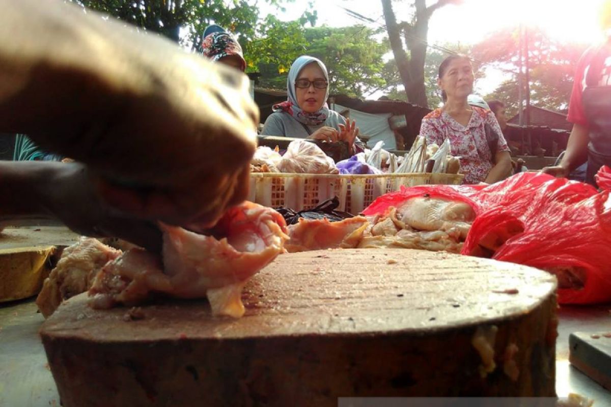 Pedagang Perkirakan Harga Ayam Potong di Bojonegoro Naik