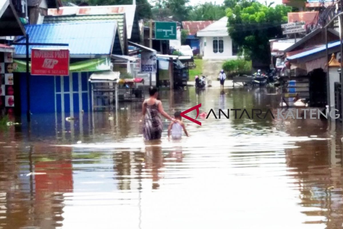 1.215 rumah di Barito Utara terendam banjir