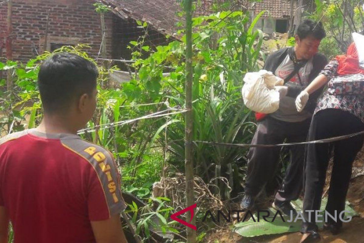 Warga Temanggung temukan mayat bayi di kebun