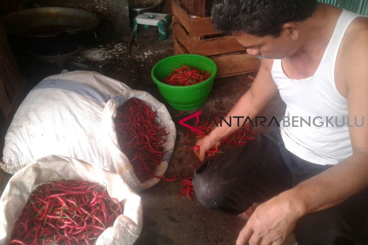 Harga cabai merah turun Rp5.000