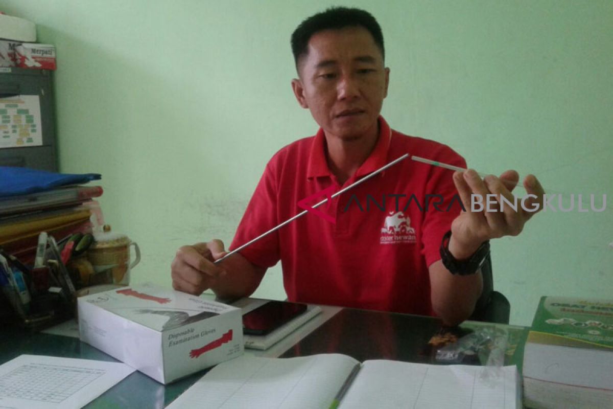 Dispertan Rejang Lebong bantu bibit ternak gratis