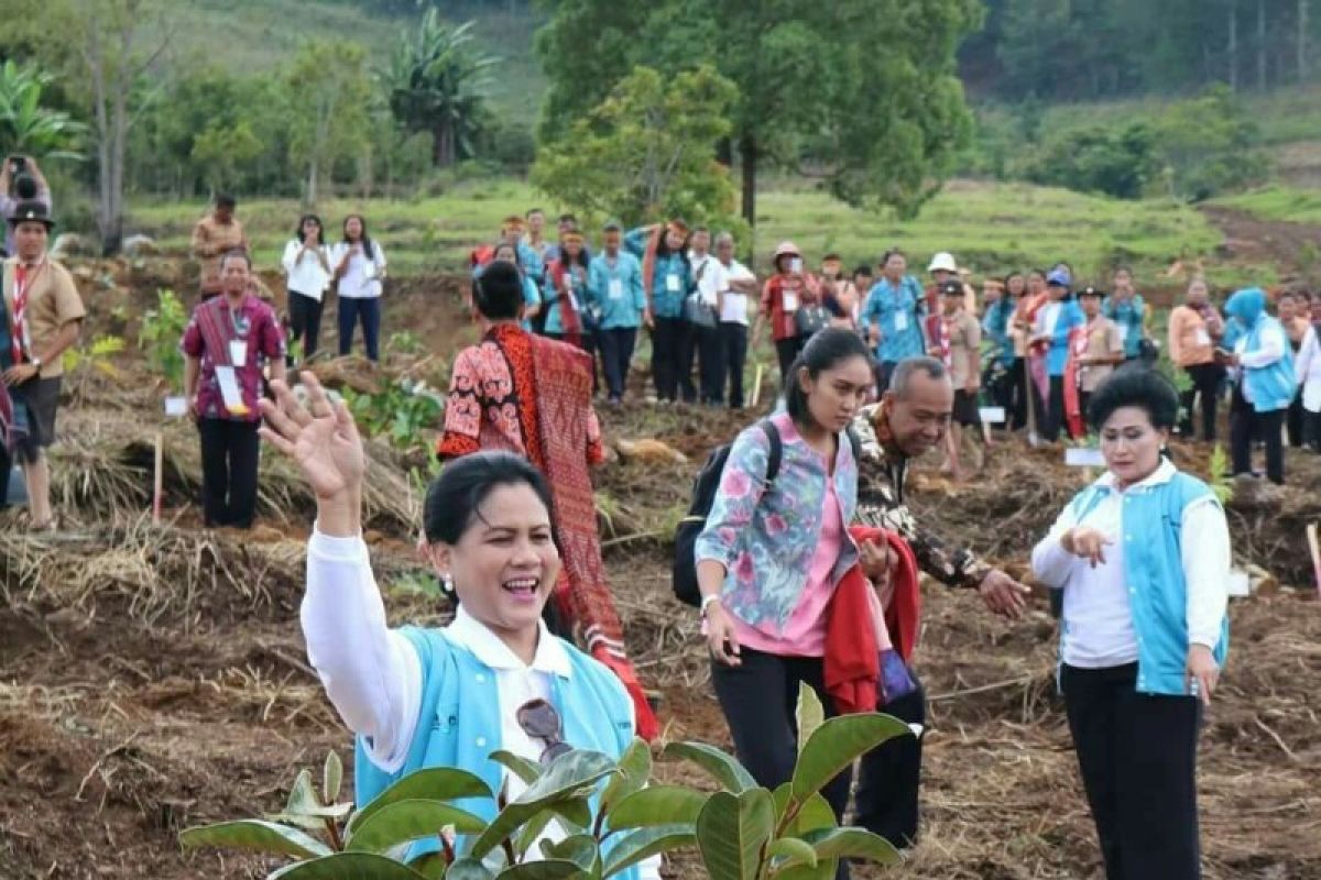 Ibu Negara tanam pohon di Samosir