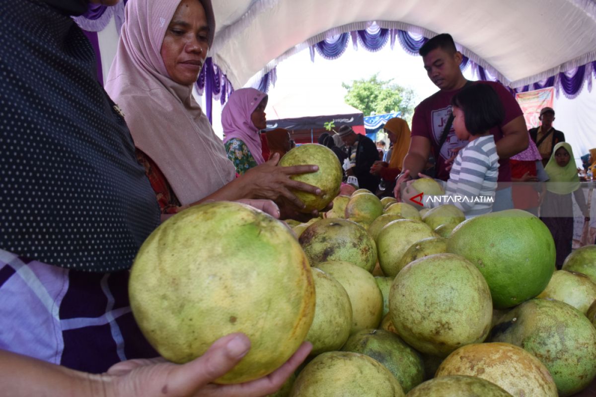 Warga Magetan Gelar Festival Kampoeng Pamelo (Video)