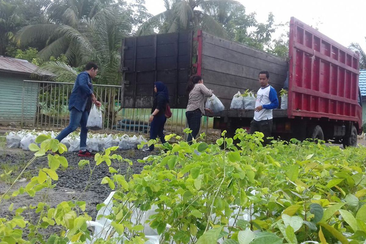 KPH Tabalong menyalurkan 10 ribu bibit tanaman