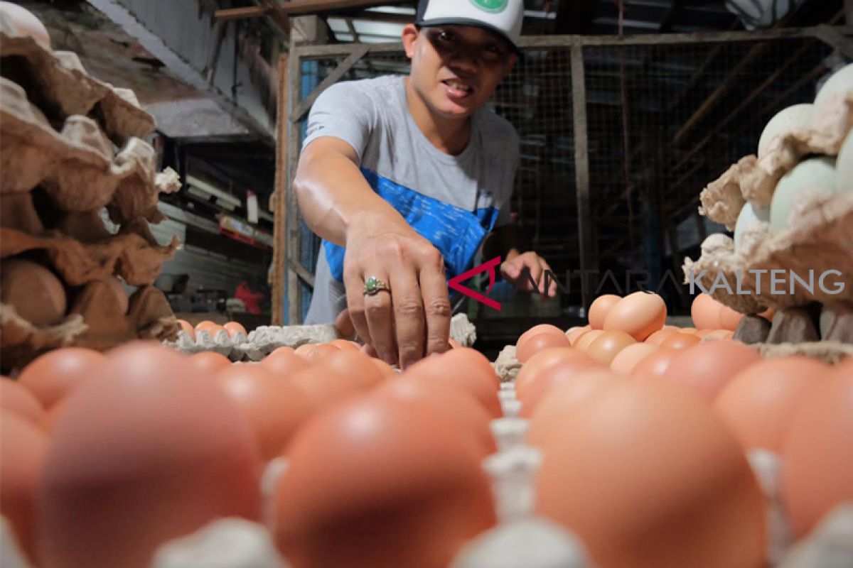 Harga telur ayam ras di Seruyan naik