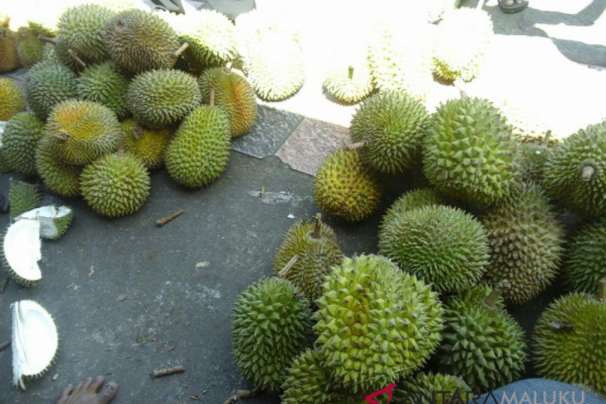 Harga durian di Ambon turun