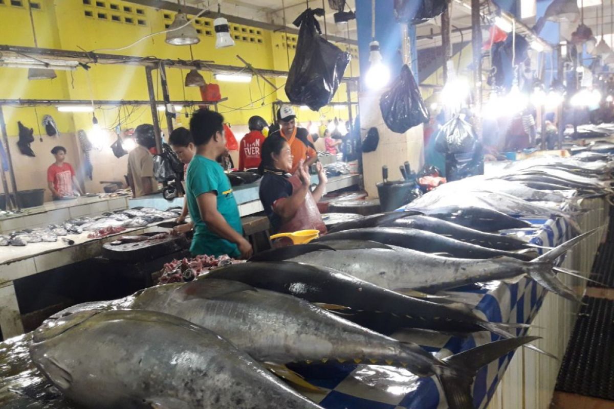 Harga cakalang dan tuna di Ternate naik