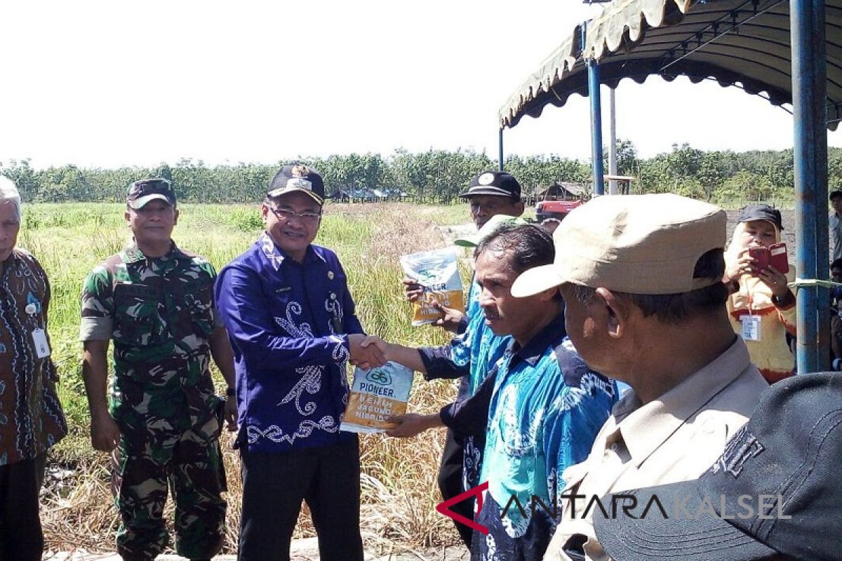 Panen jagung Balangan lampaui target nasional