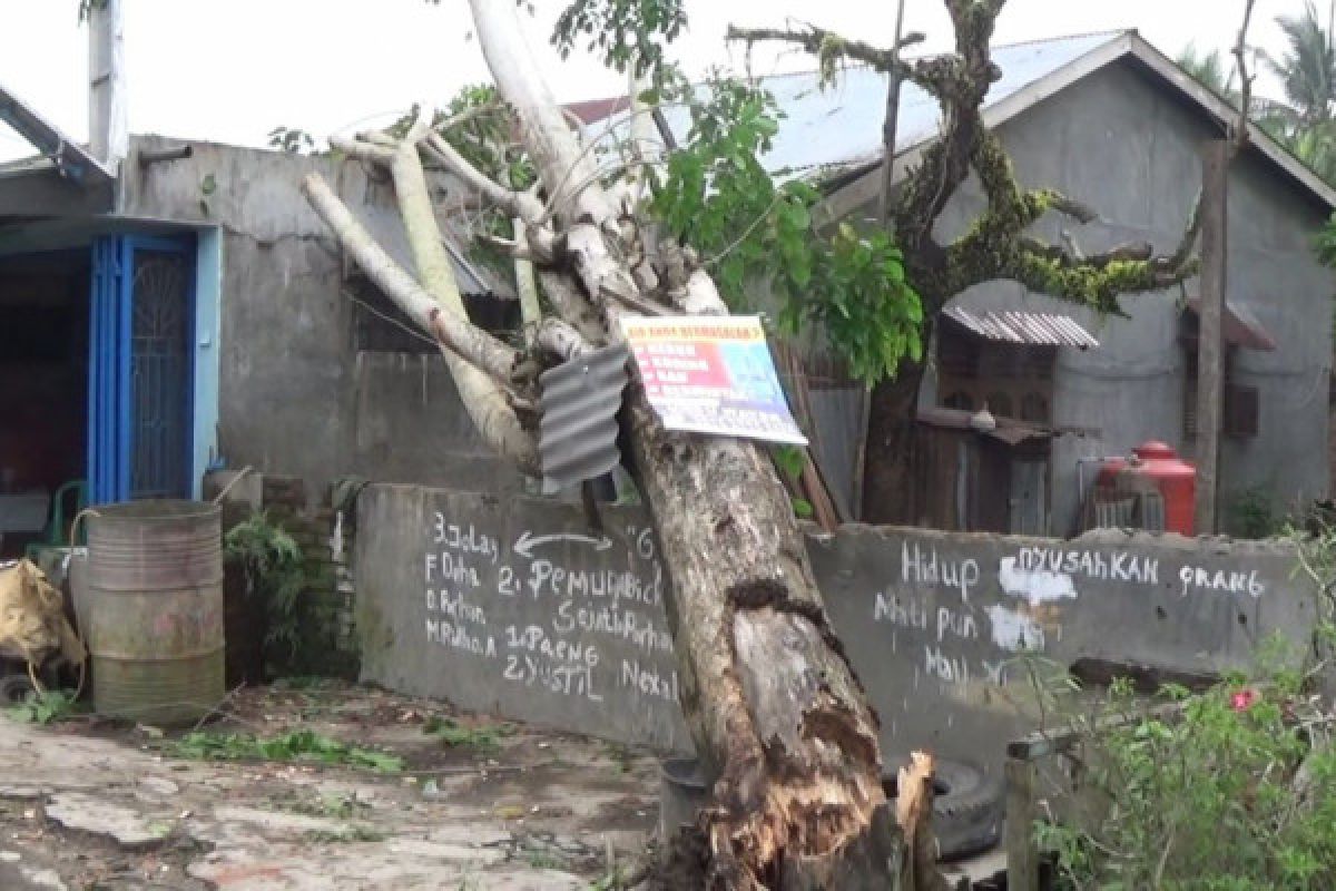 Hujan dan angin kencang porak porandakan rumah warga