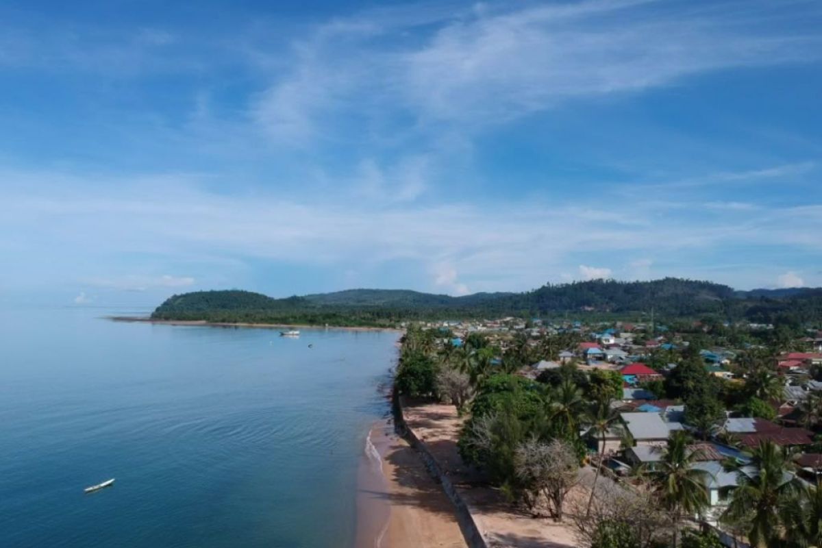 Kepulauan Sula dijadikan sentra pengembangan jambu mete