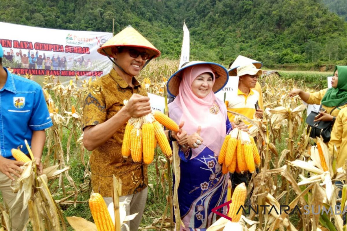 Gubernur : Perbankan Harus Bantu Masyarakat yang Manfaatkan Lahan Tidur