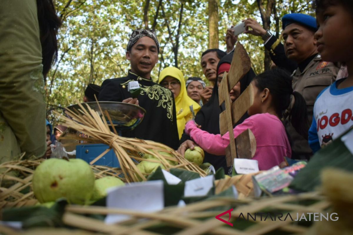 Hutan Rajawali Batang dikembangkan jadi pusat jajan tradisional