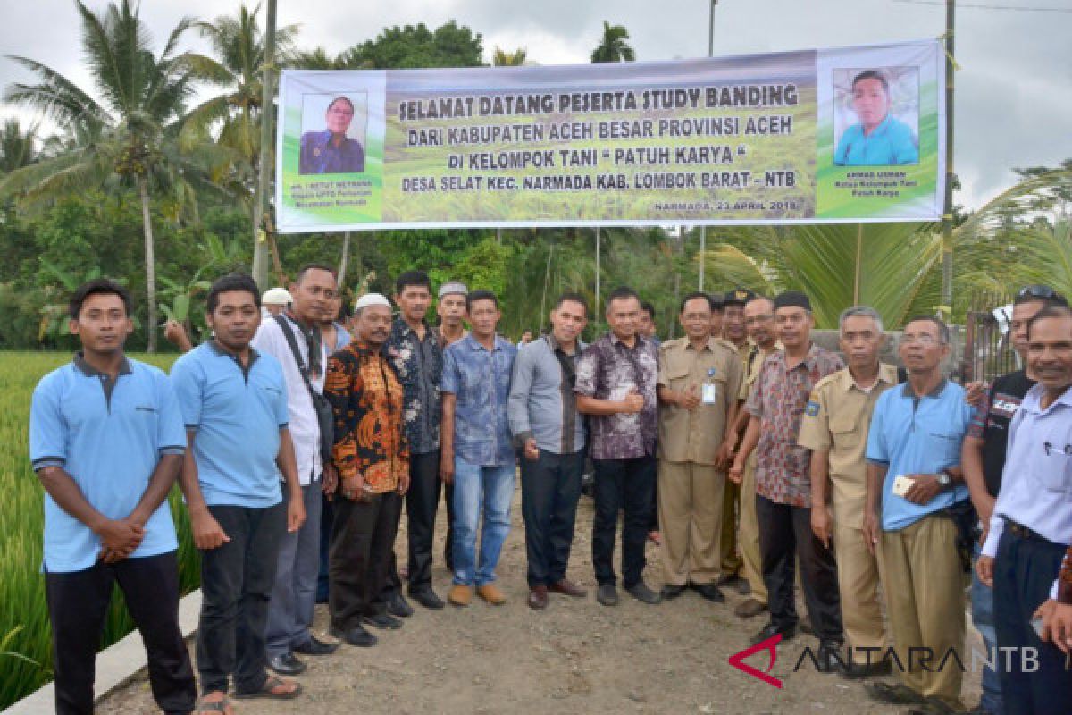 Aceh Besar belajar peternakan di Lombok Barat