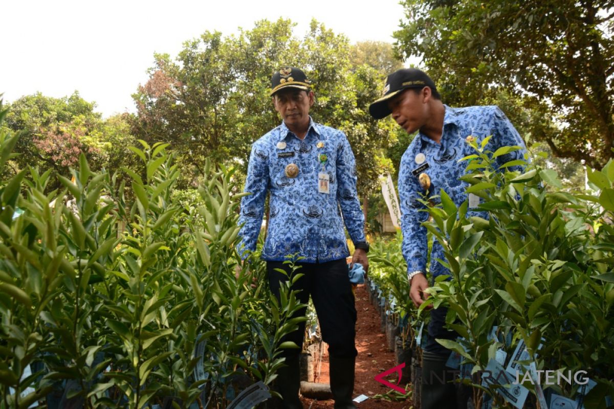 Pemkab Batang siap padukan agrobisnis dan agrowisata