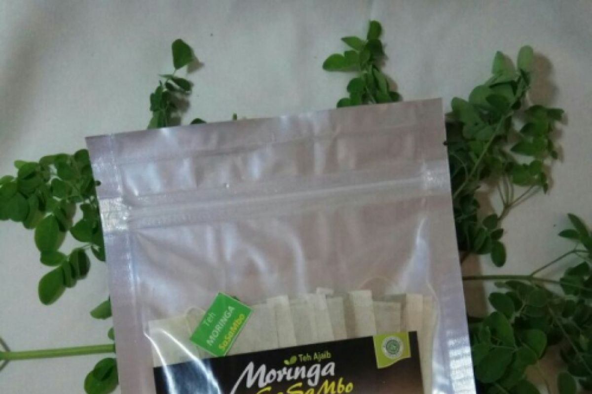 Indonesia's Moringa tea dubbed as Germany's favorite