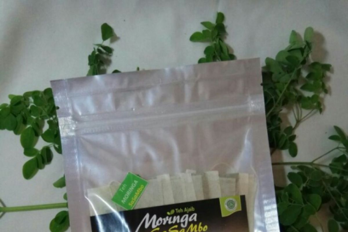 Teh kelor Moringa NTB tembus pasar Taiwan