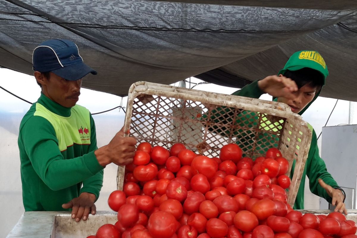 Ewindo Siapkan 30 Persen OPEX Untuk R&D