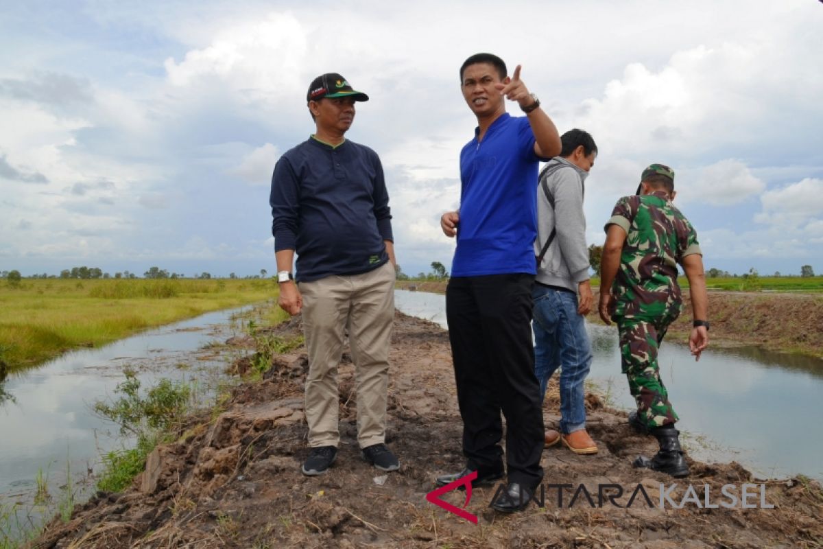 Wabup Batola tinjau cetak sawah Desa Jejangkit