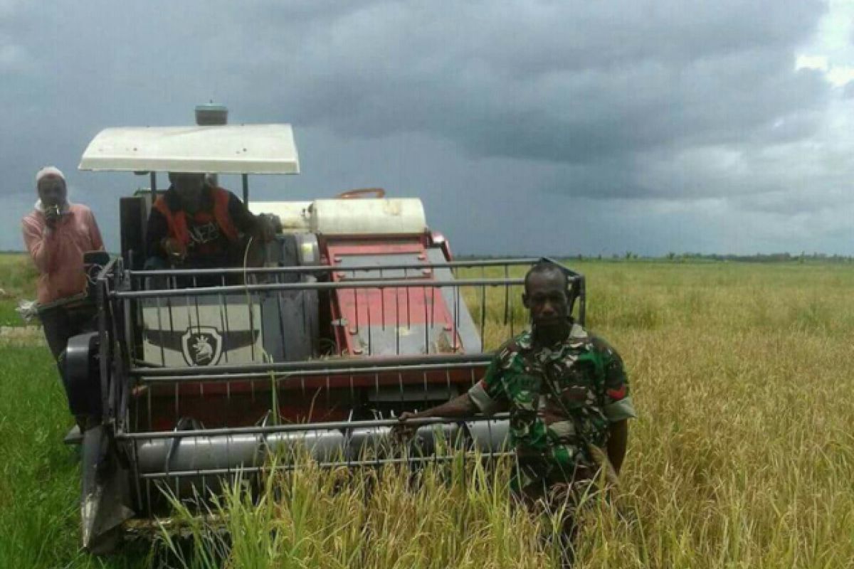 Papua Nugini jajaki pembelian beras langsung dari Merauke