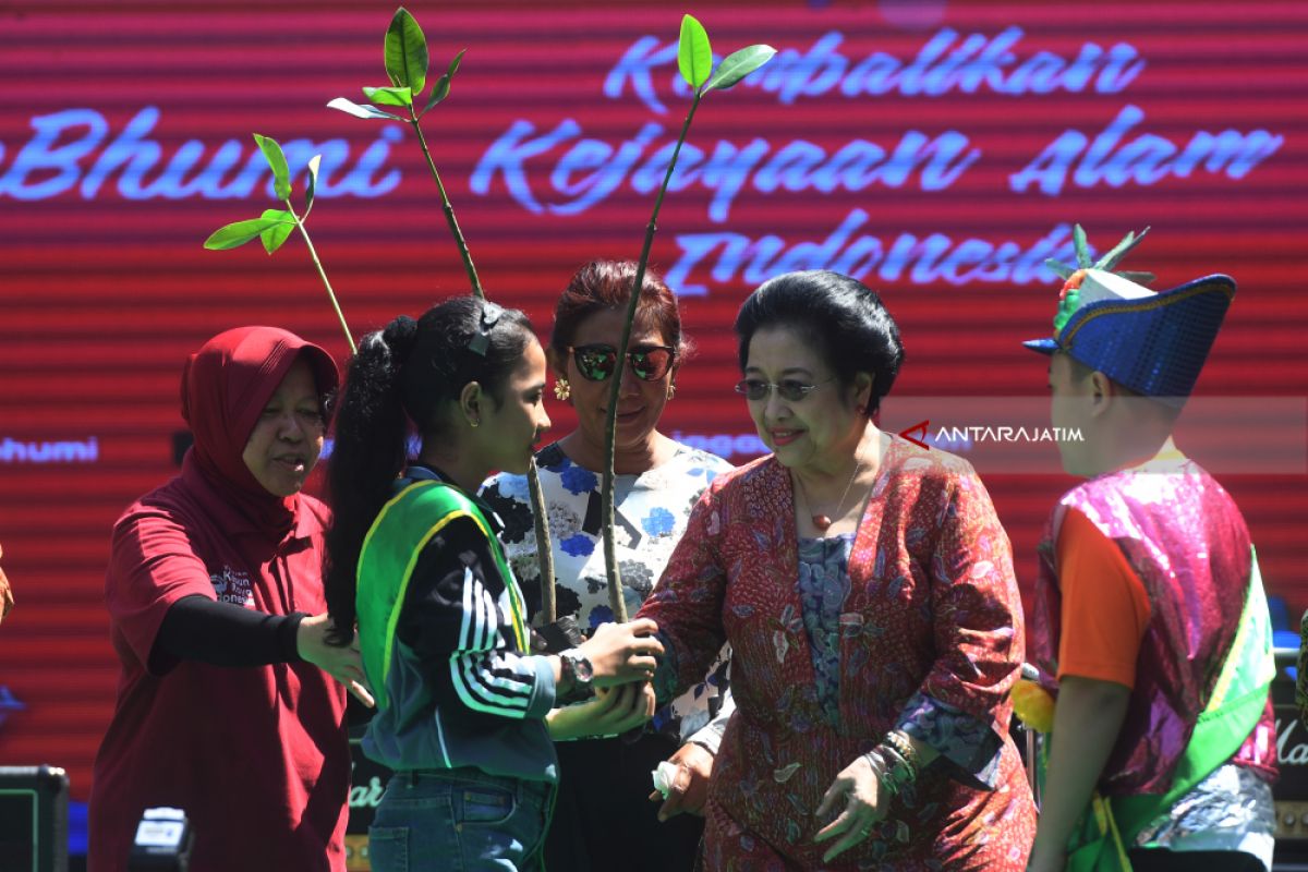 Video - Wow, Surabaya Bangun Kebun Raya Mangrove Pertama di Asia
