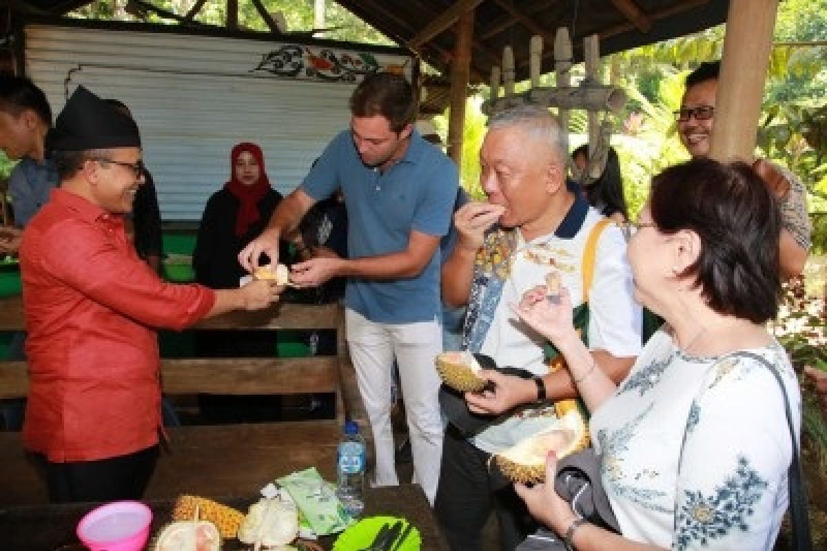 Ke Kampung Durian Banyuwangi Yuk! (Video)