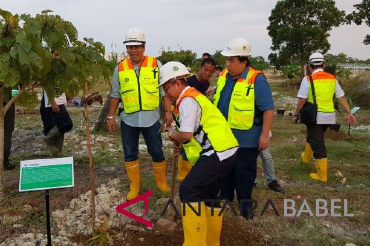 Komisi VII DPR RI tanami lahan bekas tambang