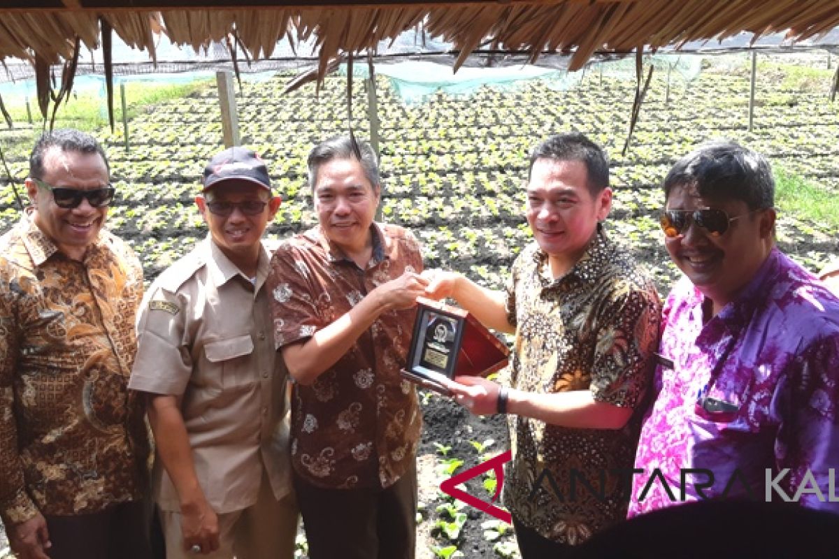 Daniel minta kuota pupuk subsidi petani sayur ditambah