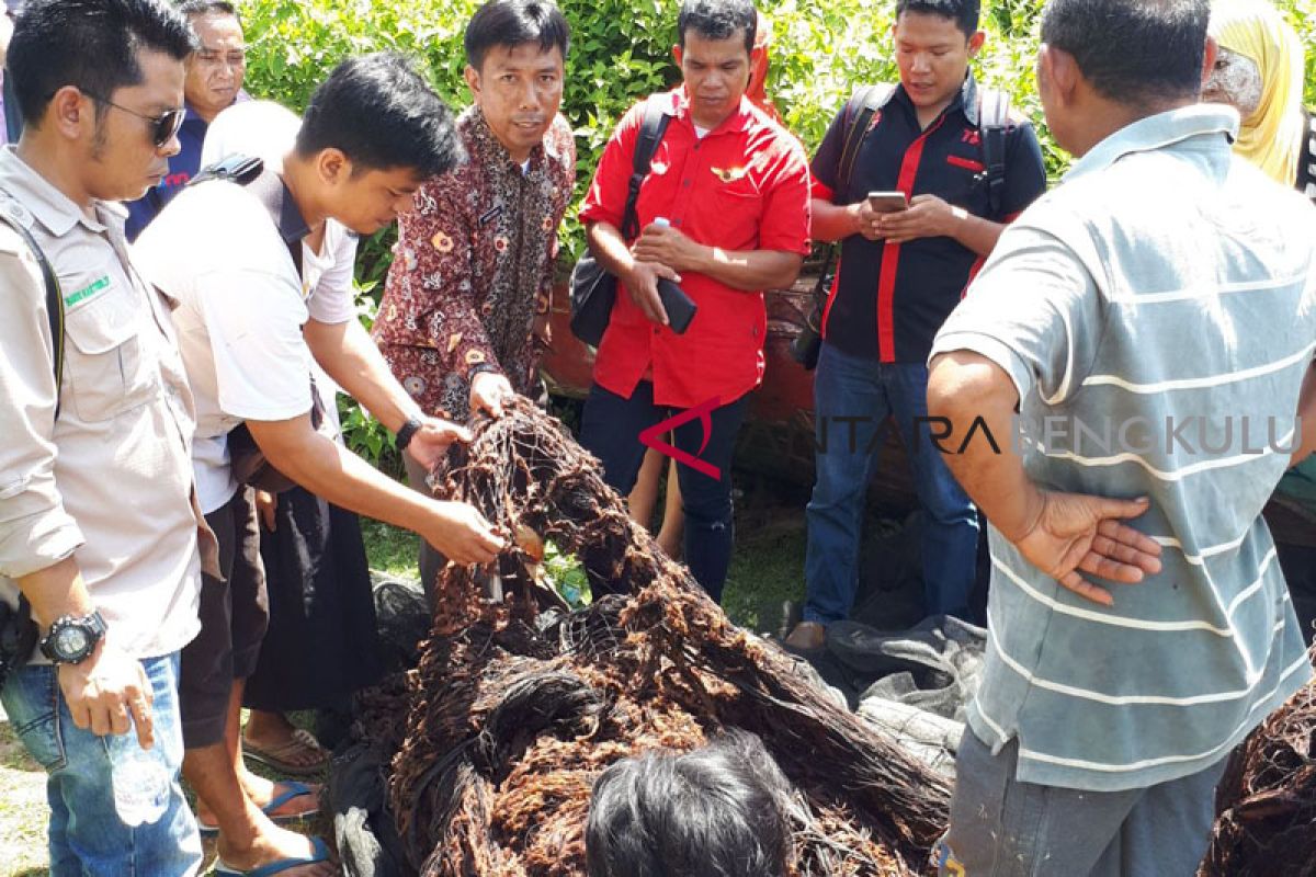 Nelayan Mukomuko resah karena limbah pabrik CPO