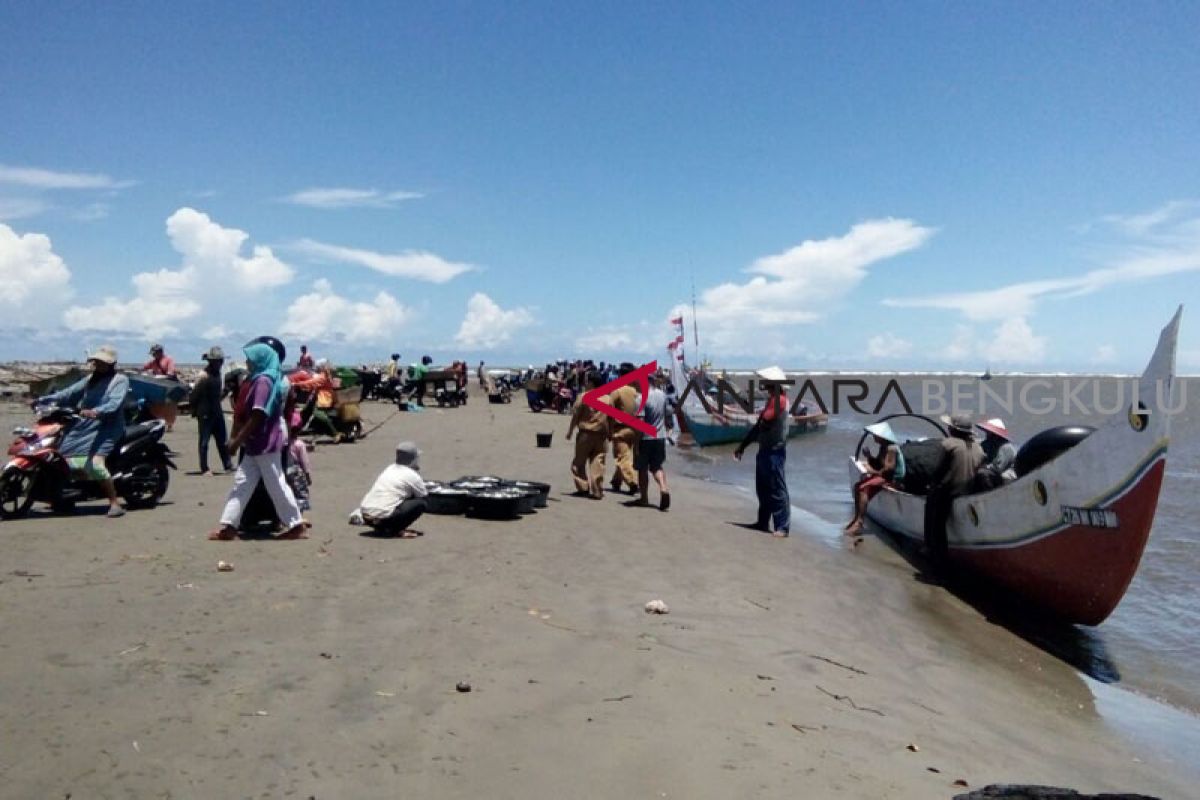 Pengunjung dilarang berenang di pantai Mukomuko