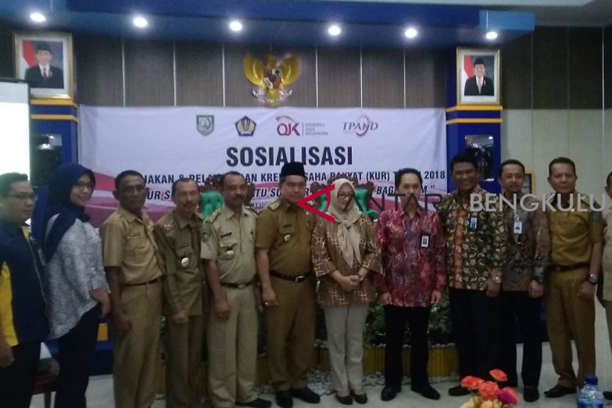 OJK dorong perbankan berlakukan kebijakan KUR 2018