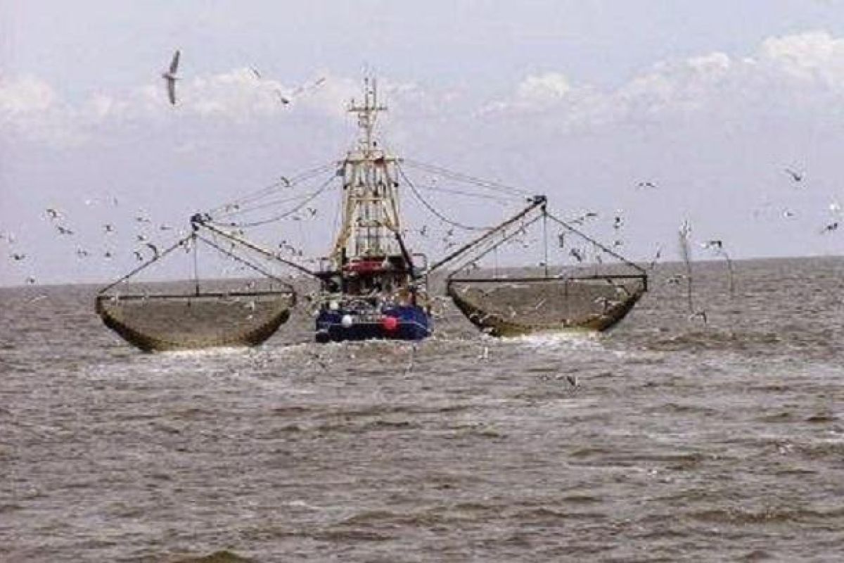 Pukat "Gerandong" masih beroperasi di Belawan