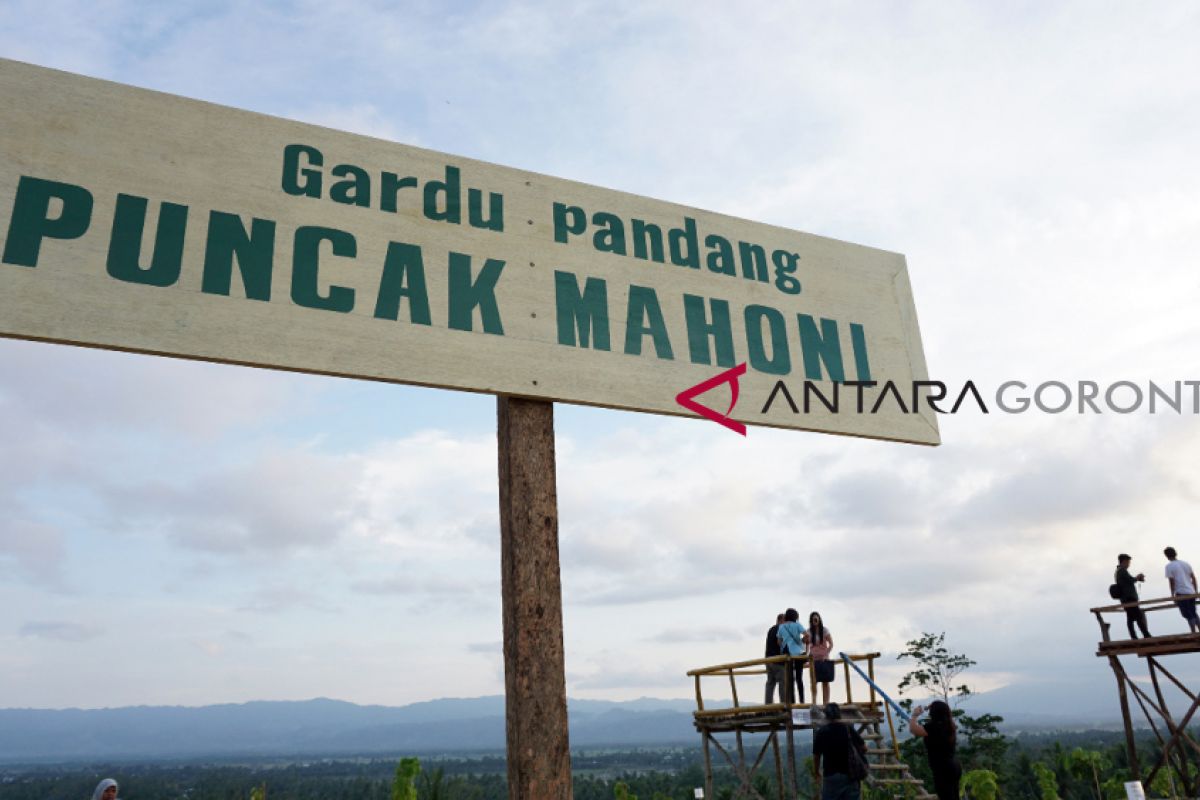 Pesona Alam Puncak Mahoni Diminati Warga Gorontalo