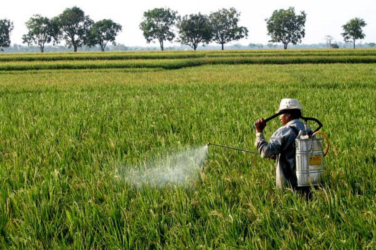 Kementa siapkan Rp4,1 triliun untuk asuransi petani