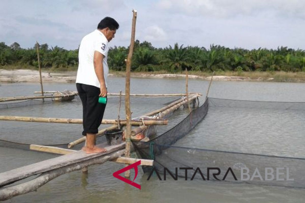 Pokdarwis Deniang kembangkan wisata kolong timah