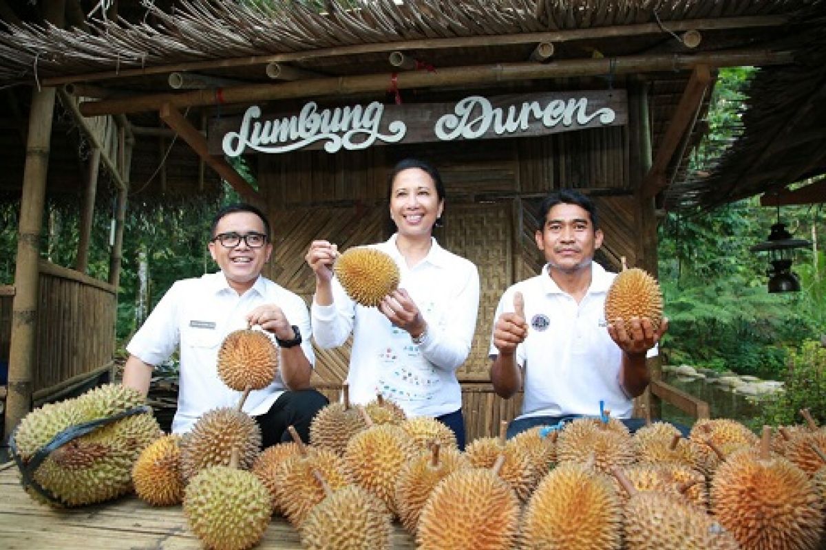 Rini Soemarno: Durian Banyuwangi Top