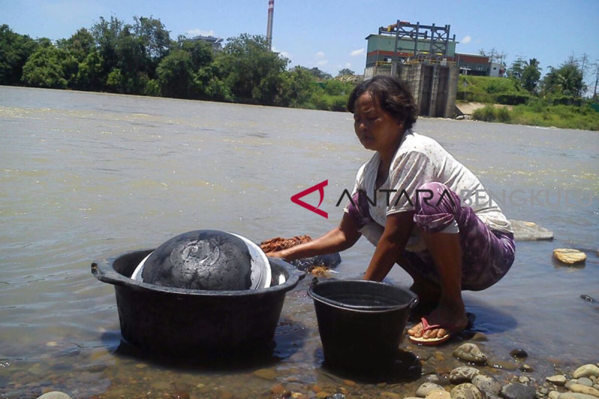 Petani Bengkulu khawatirkan dampak PLTU batu bara