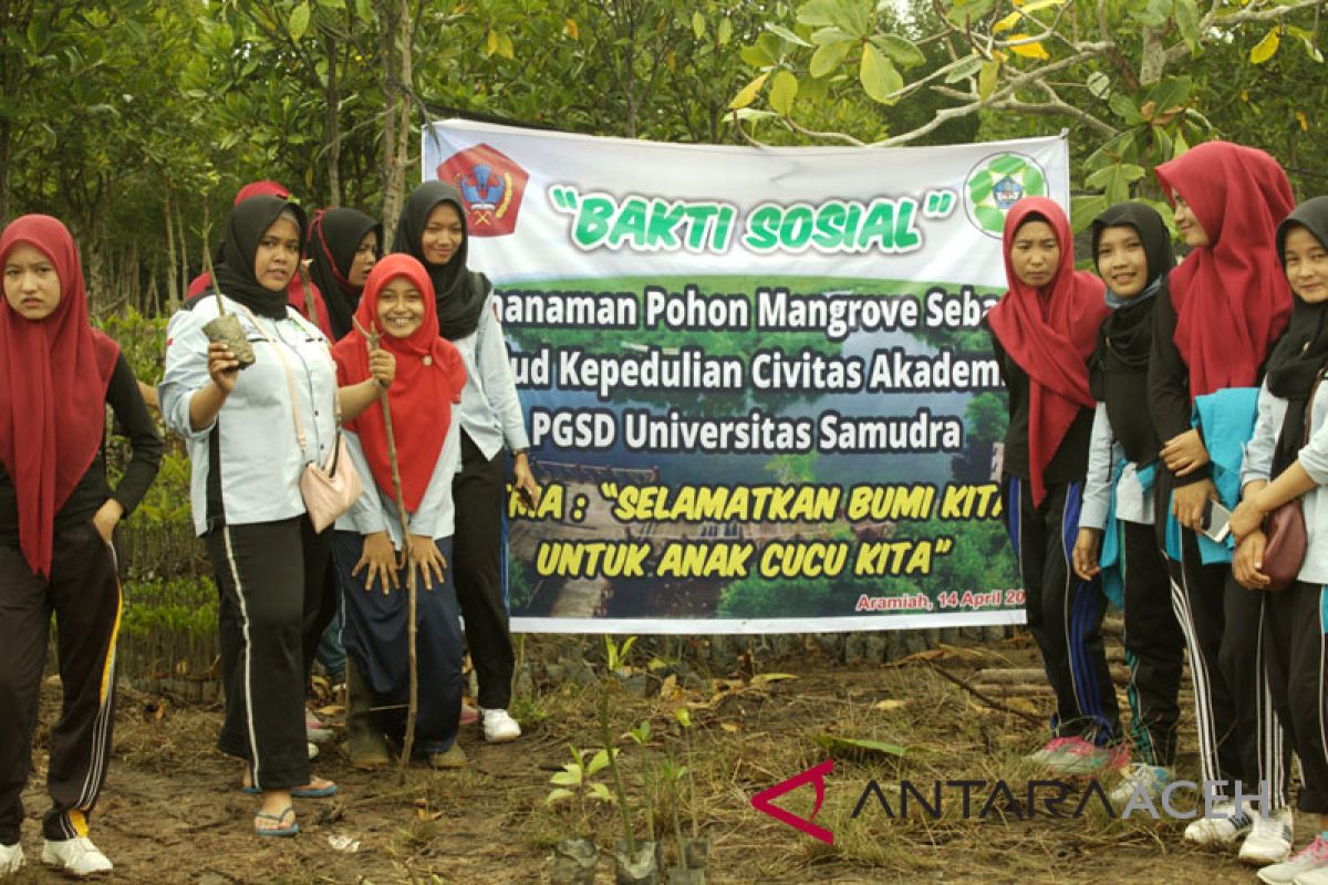 pegiat lingkungan tanam mangrove di Aceh Timur