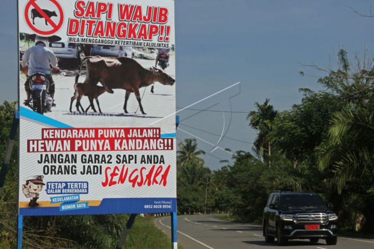 Tangkap Ternak Berkeliaran