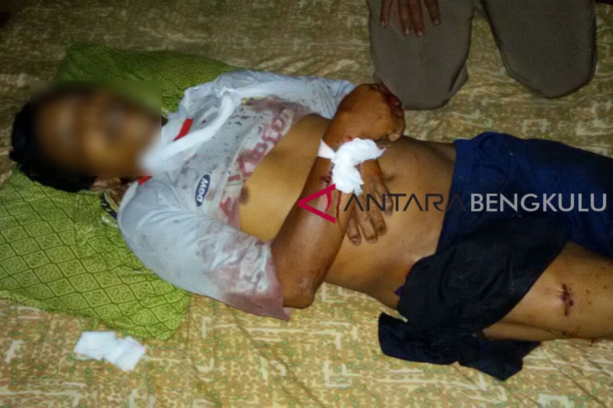 Polisi dilibatkan buru babi serang petani Mukomuko