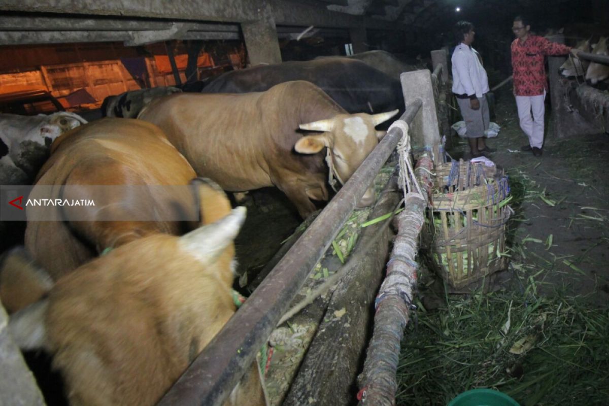 RPH Surabaya Upayakan Daging Murah selama Ramadhan