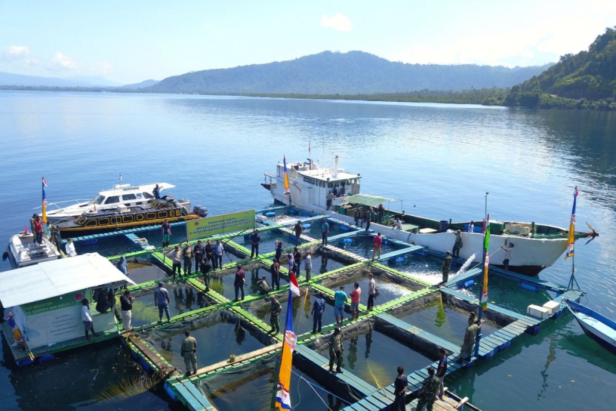 DKP Halbar dorong budi daya kerapu