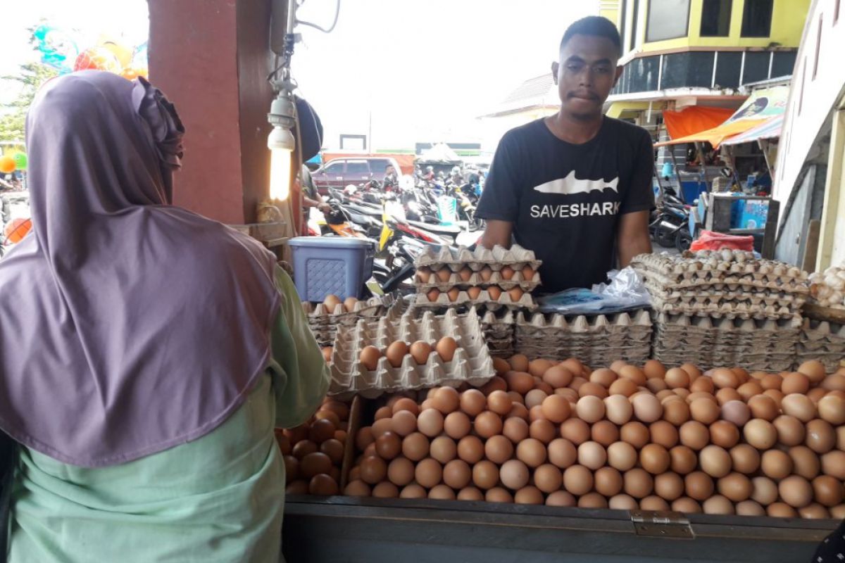 Harga telur ayam ras di Ternate turun